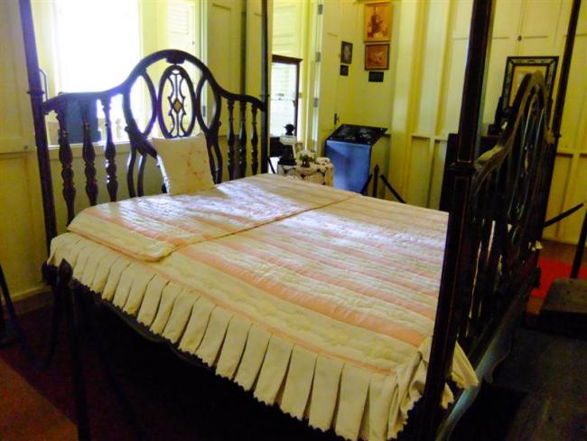 DSCF8423 (Medium).JPG